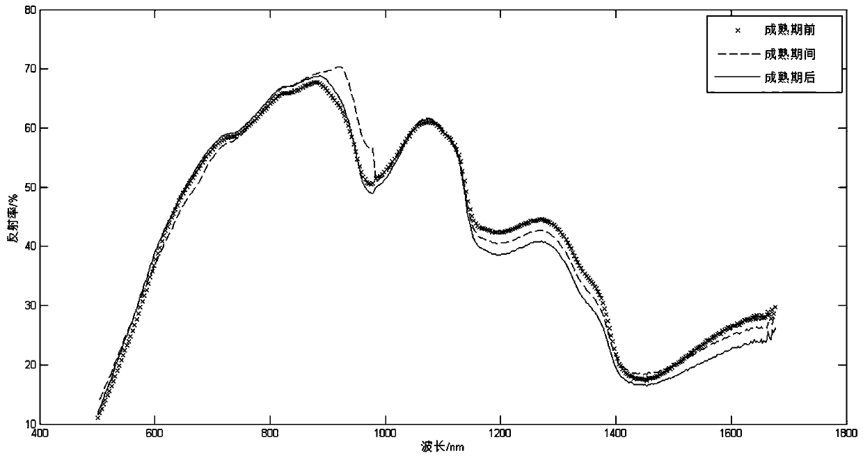 The method of identifying the ripeness of Huanghua pear based on the fast-decaying elimination algorithm and plsda