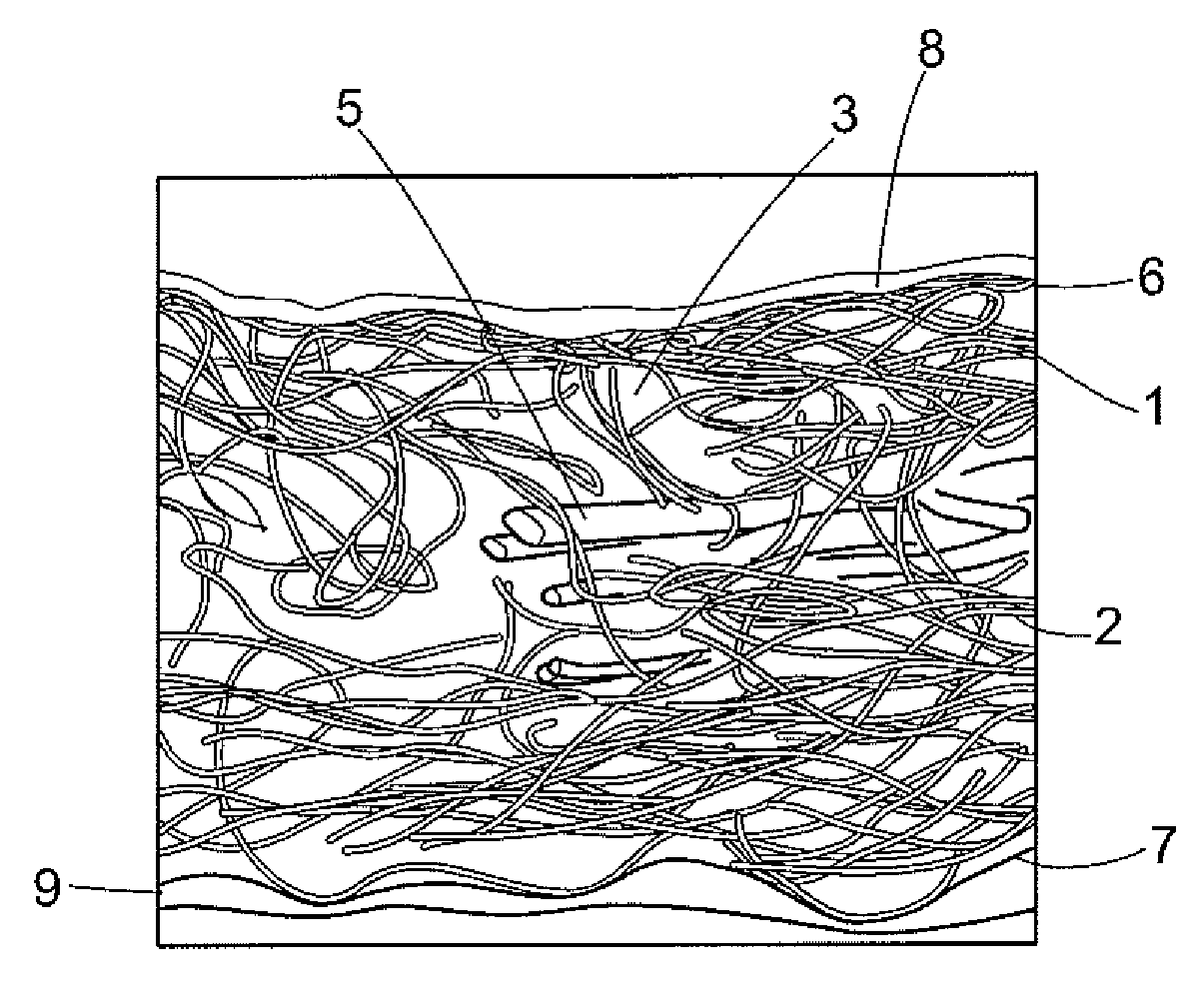 Coated Tissue Engineering Scaffold