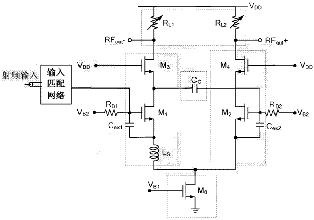 A Robust Single-turn Dual Low-Noise Amplifier with Highly Balanced Differential Output Gain-Phase