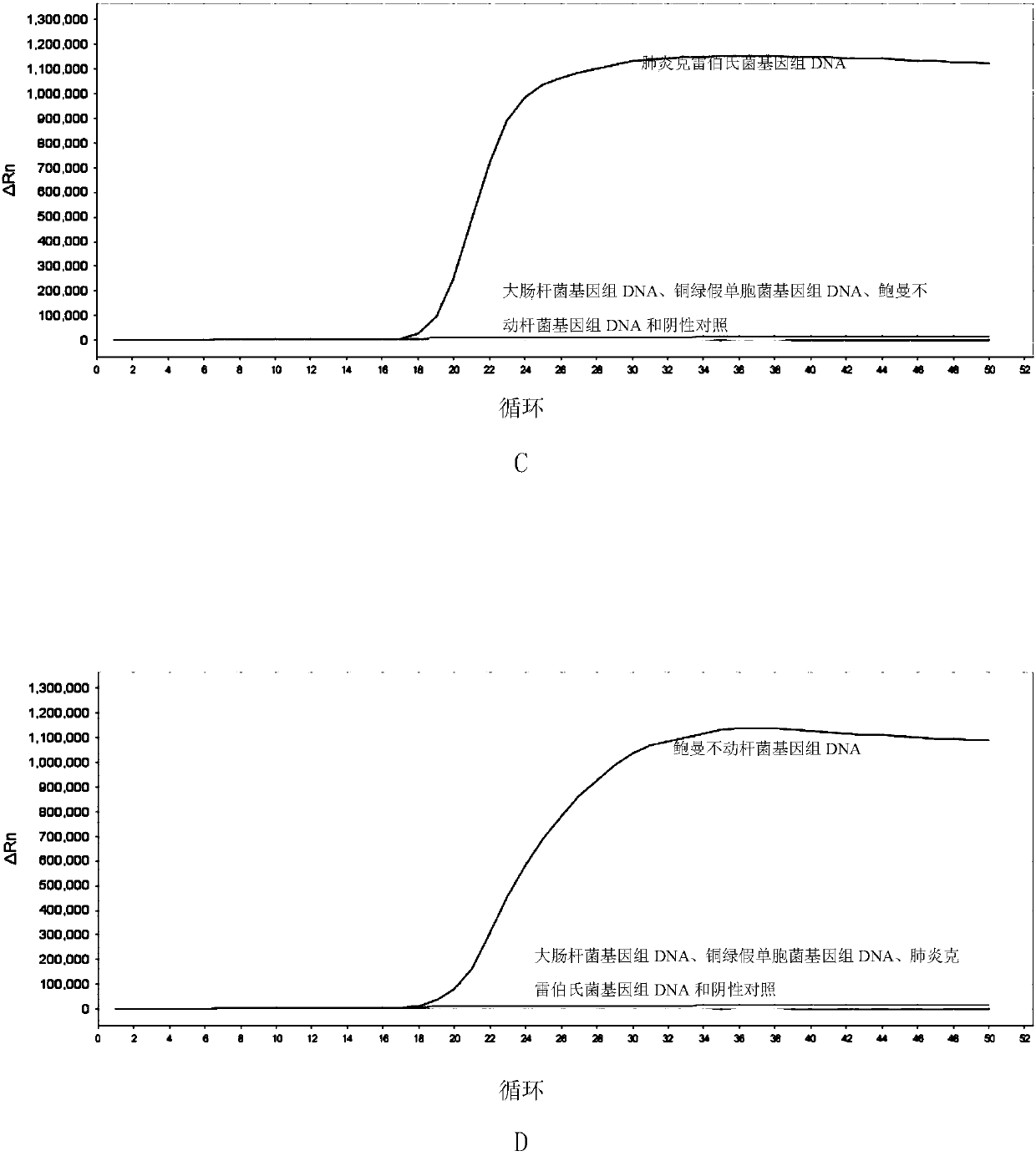 LAMP primer combination for detecting 4 gram-negative bacteria in intraocular fluid and application thereof