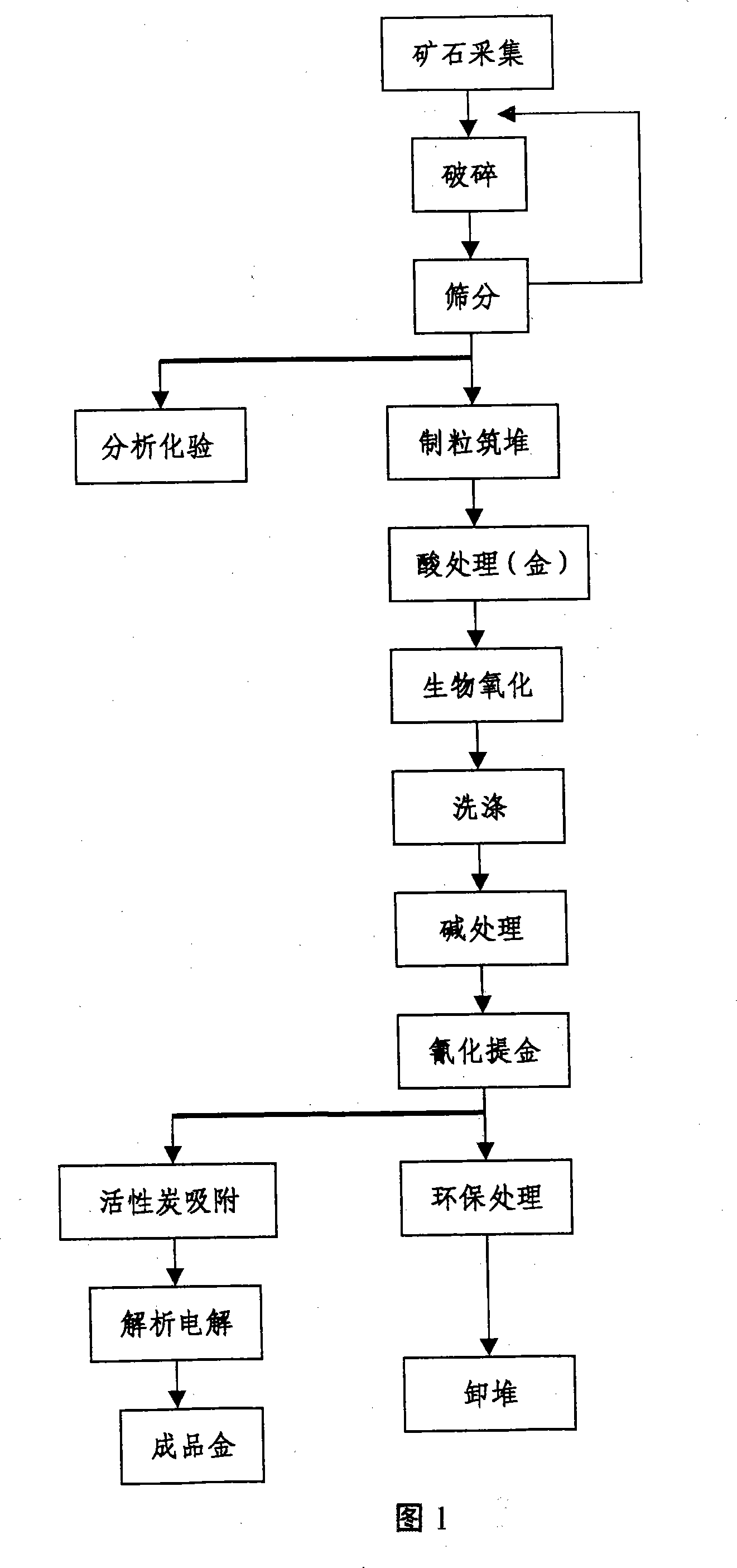 Biological heap leaching metal technique for low grade unwieldiness gold ore