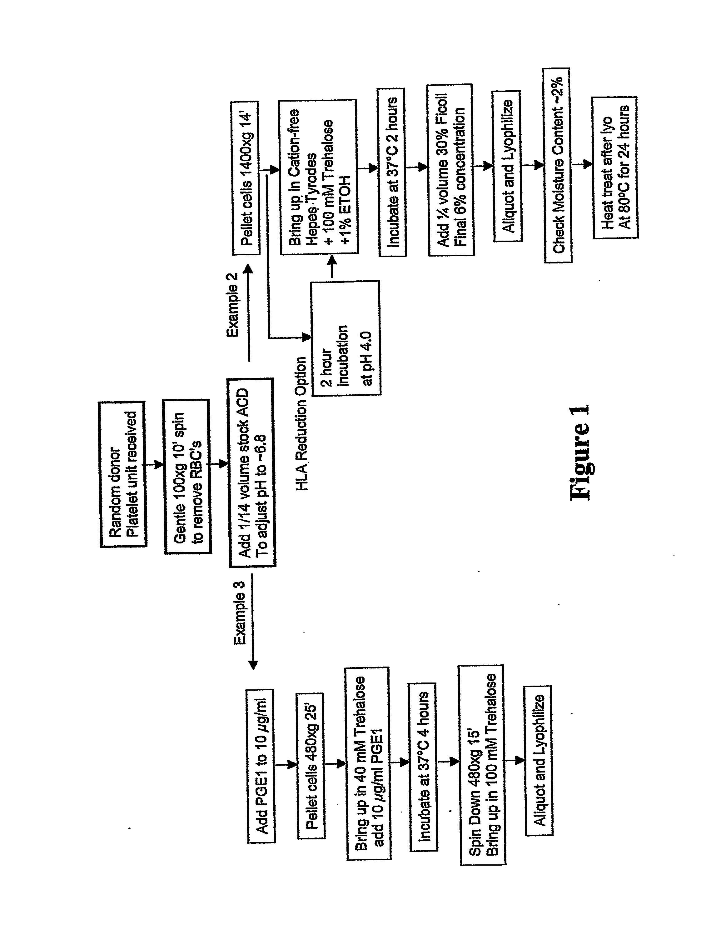 Methods for Preparing Freeze-Dried Platelets, Compositions Comprising Freeze-Dried Platelets, and Methods of Use