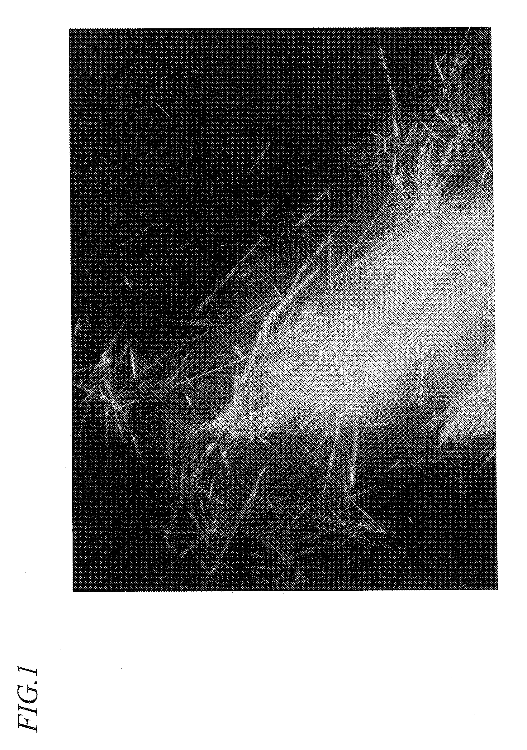 Lysine-based prodrugs of aspartyl protease inhibitors and processes for their preparation