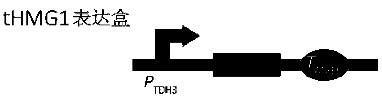 Brewer's yeast engineering bacterium for producing valencene and construction method and application of brewer's yeast engineering bacterim