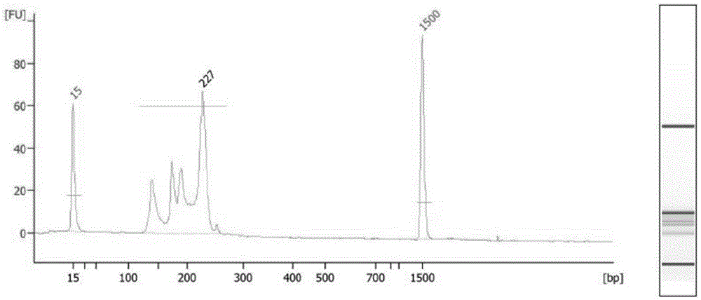 Unicell simplified representative bisulfite sequencing method and kit