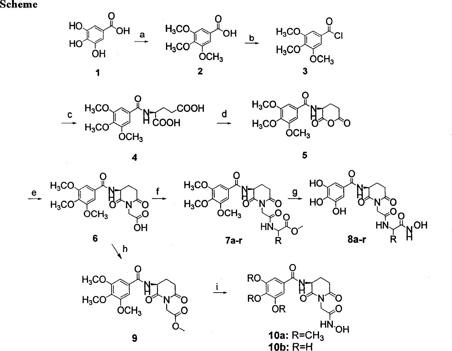 Cyclin imide peptidyl metalloprotease inhibitor and its application