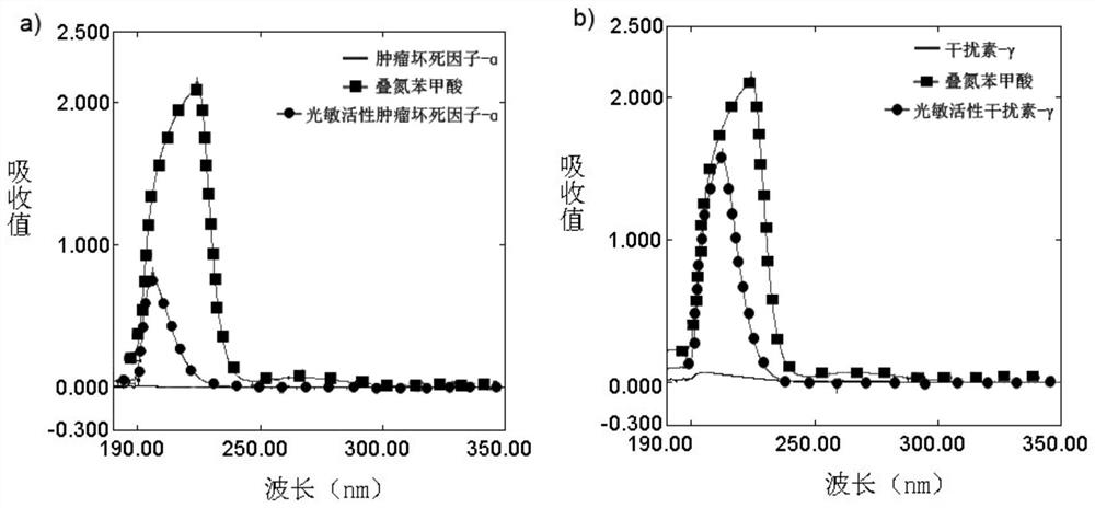 Antitumor drug, antitumor drug for external application and preparation method thereof