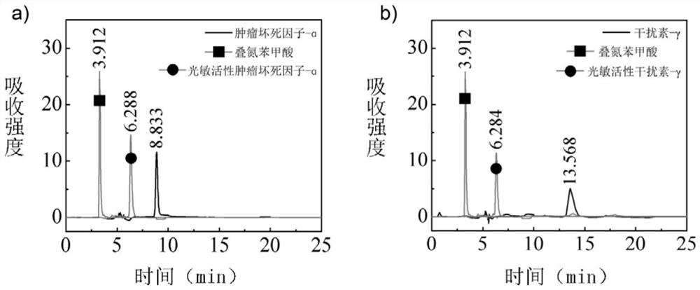 Antitumor drug, antitumor drug for external application and preparation method thereof