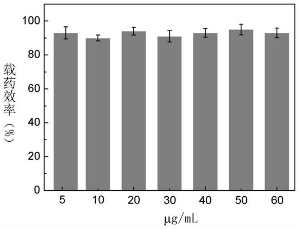 Antitumor drug, antitumor drug for external application and preparation method thereof