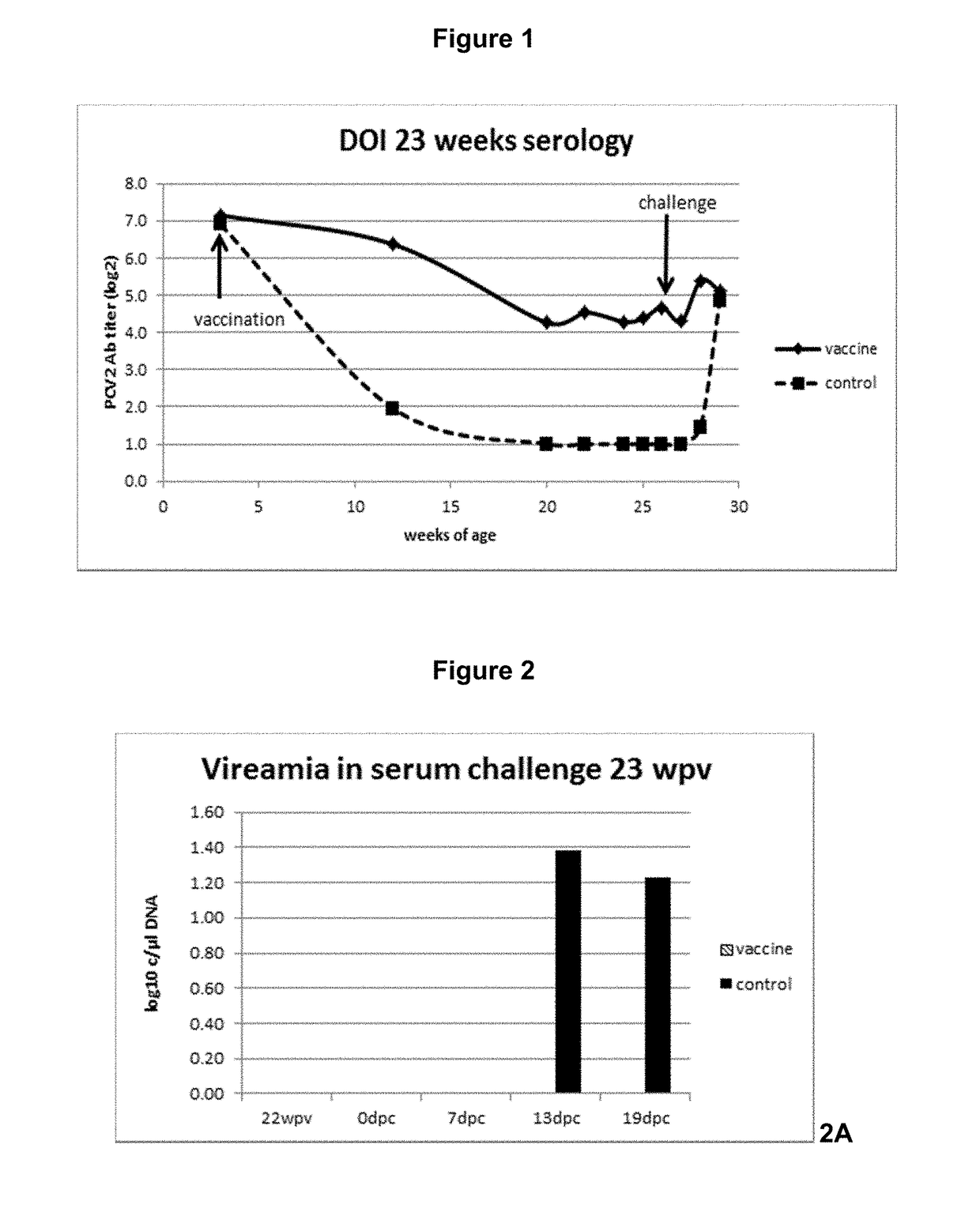 Vaccine against porcine circo virus type 2