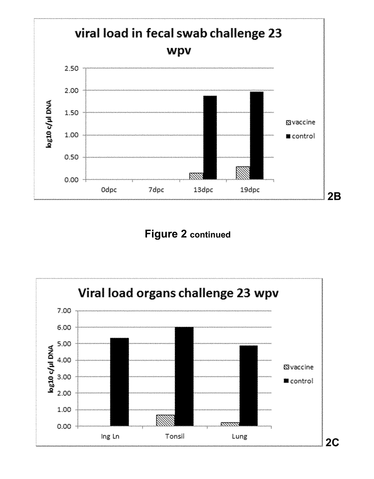 Vaccine against porcine circo virus type 2