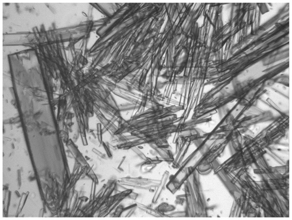 A kind of sodium isethionate ellipsoidal crystal and preparation method thereof