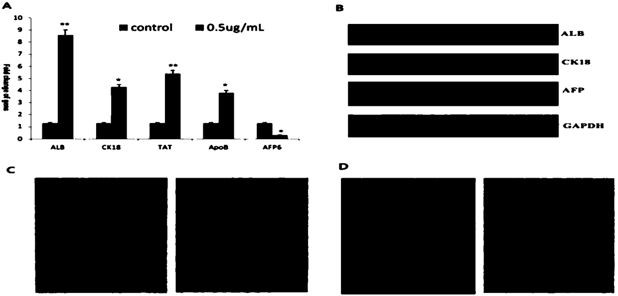 Pharmaceutical composition for removing residual liver cancer stem cells with combined use of arsenic trioxide and all-transretinoic acid and application thereof