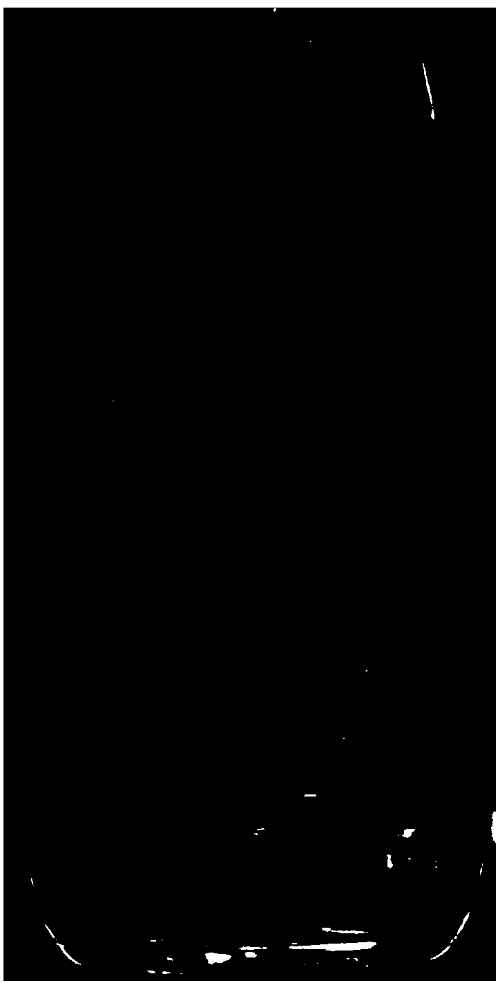 Method for recognizing foreign matters in bottle-packed oral liquid