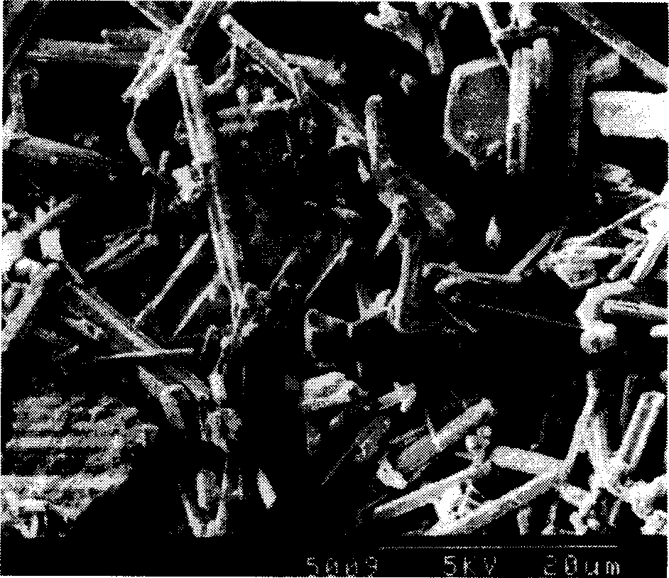 High length-diameter ratio antifungin whisker synthesis method