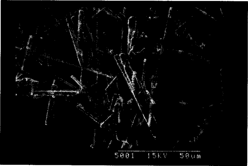 High length-diameter ratio antifungin whisker synthesis method