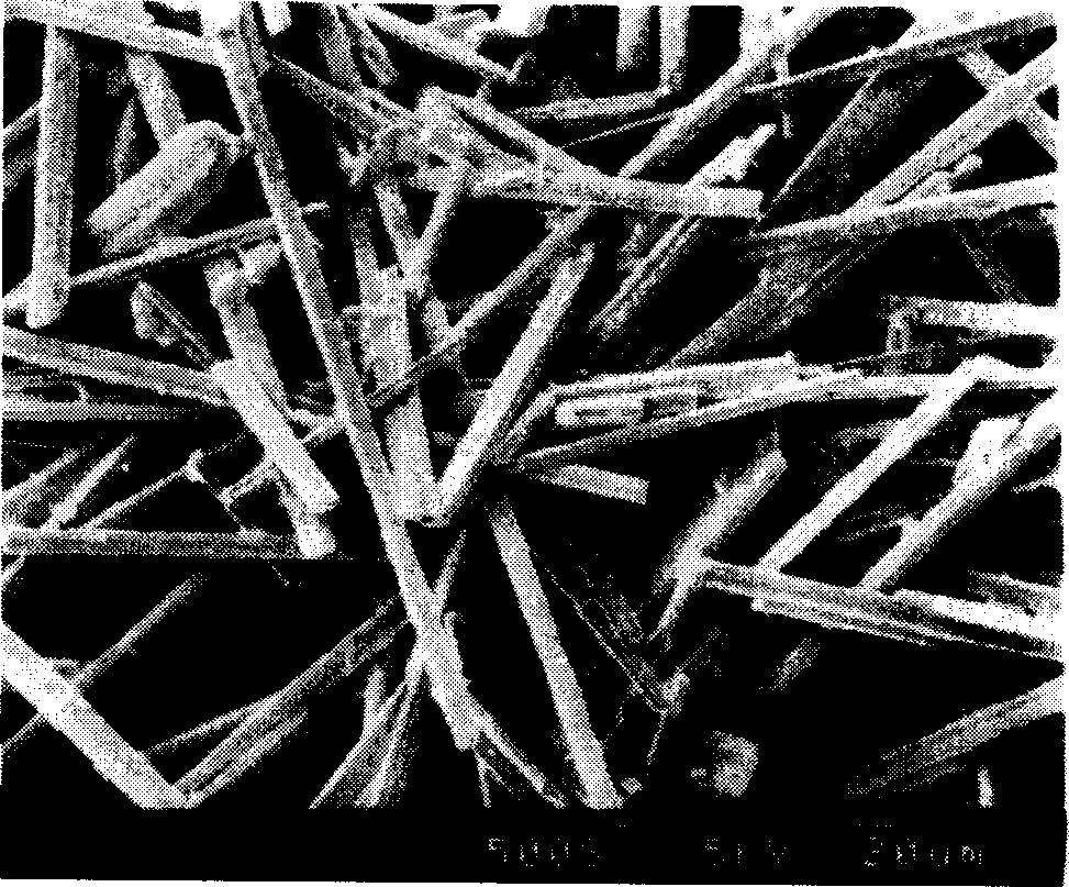 High length-diameter ratio antifungin whisker synthesis method