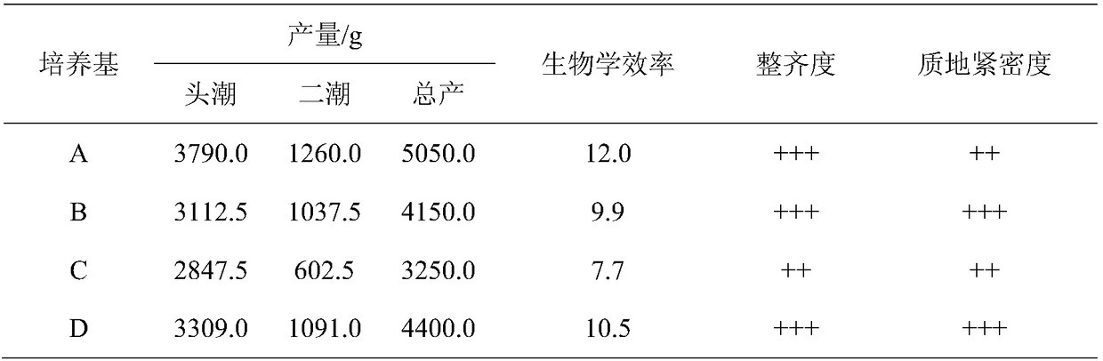 Culture method of ganoderma tsugae, culture medium and culture medium preparation method