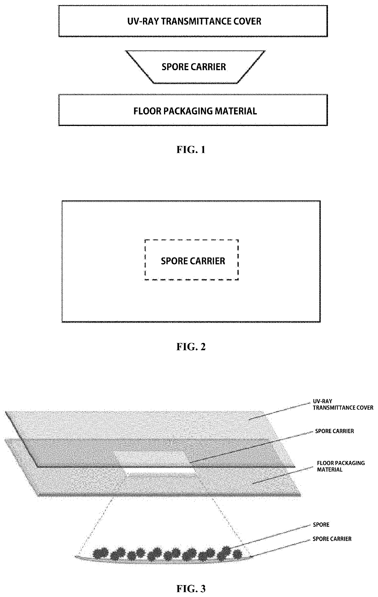 Biological indicator for rapid verification of disinfection or sterilization