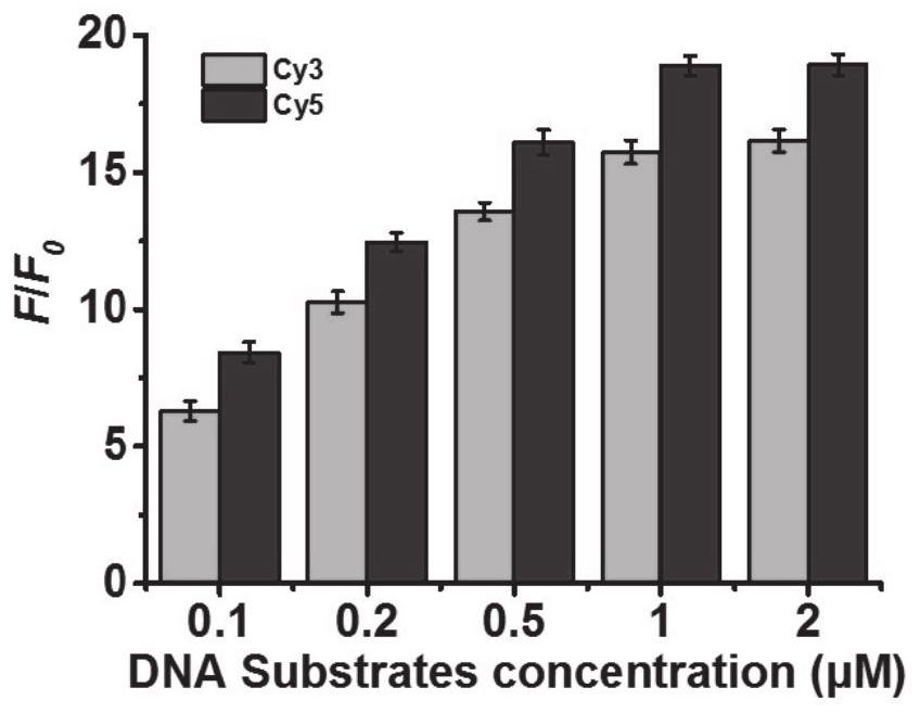 Fluorescent chemical sensor for simultaneous detection of multiple dna glycosylases, detection method and application thereof