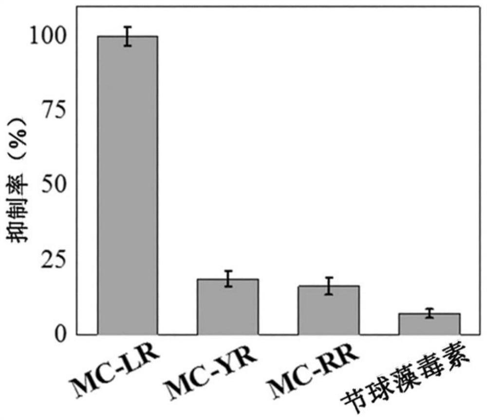 Preparation and application of a nanobiological dual-mimetic enzyme sensor