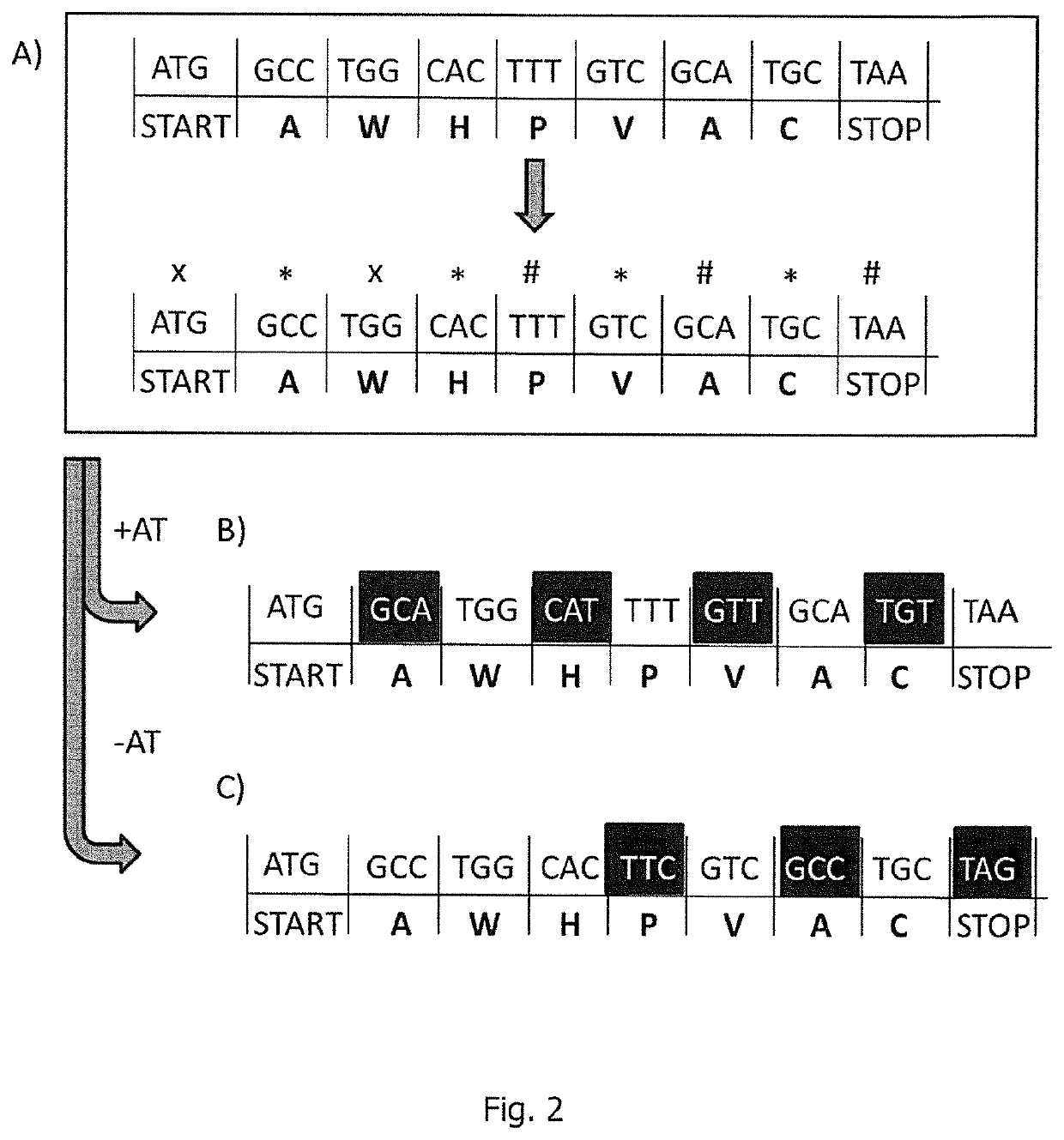 RNA sequence adaptation