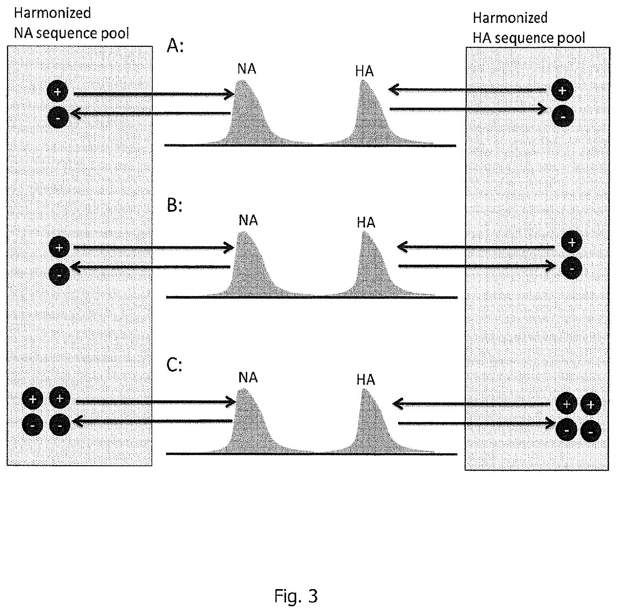 RNA sequence adaptation