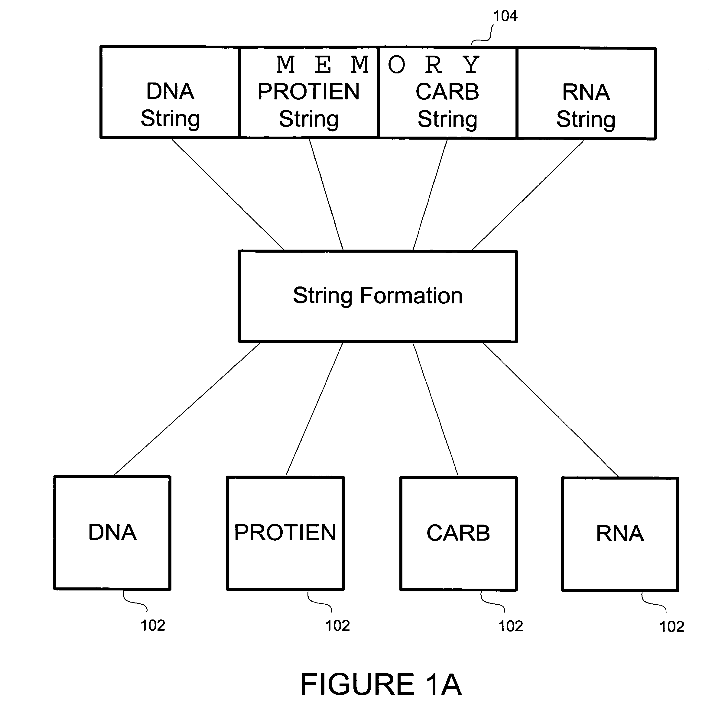 Method and apparatus for object based biological information, manipulation and management