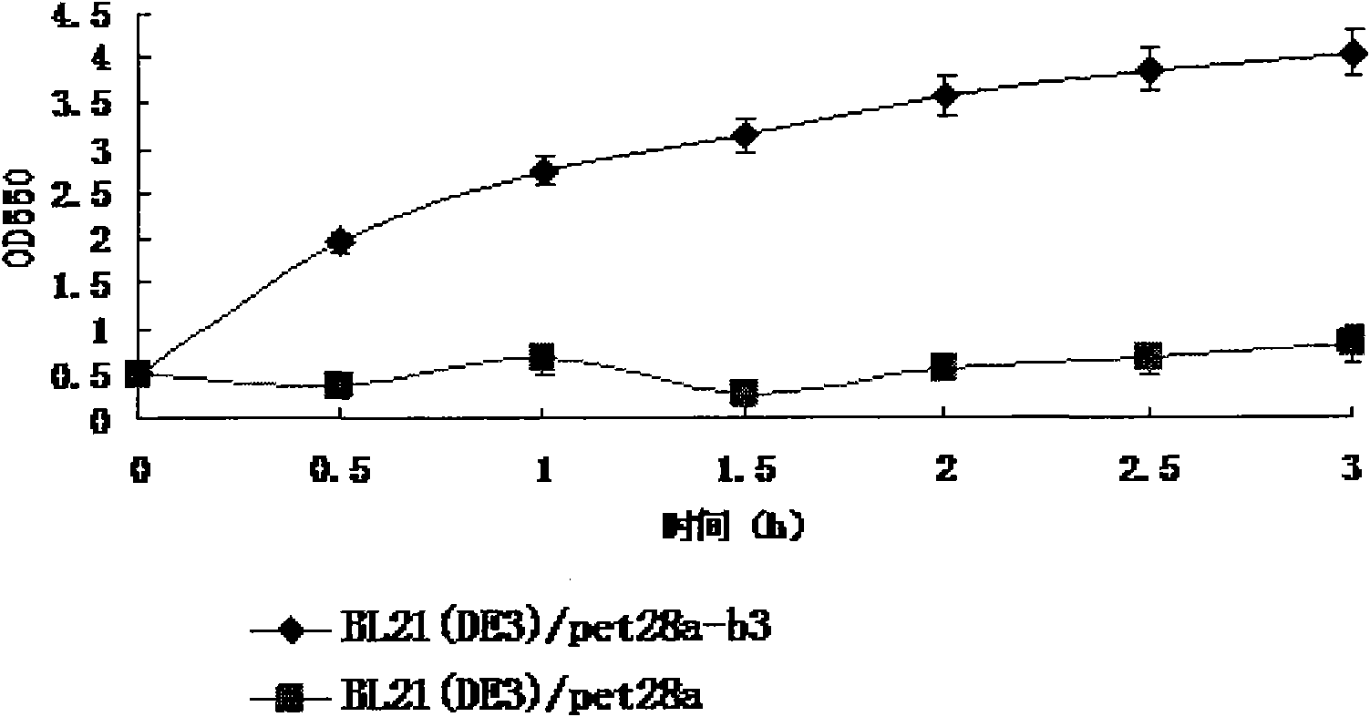 Wild esterase B3 genetically engineered bacteria and building method and application thereof