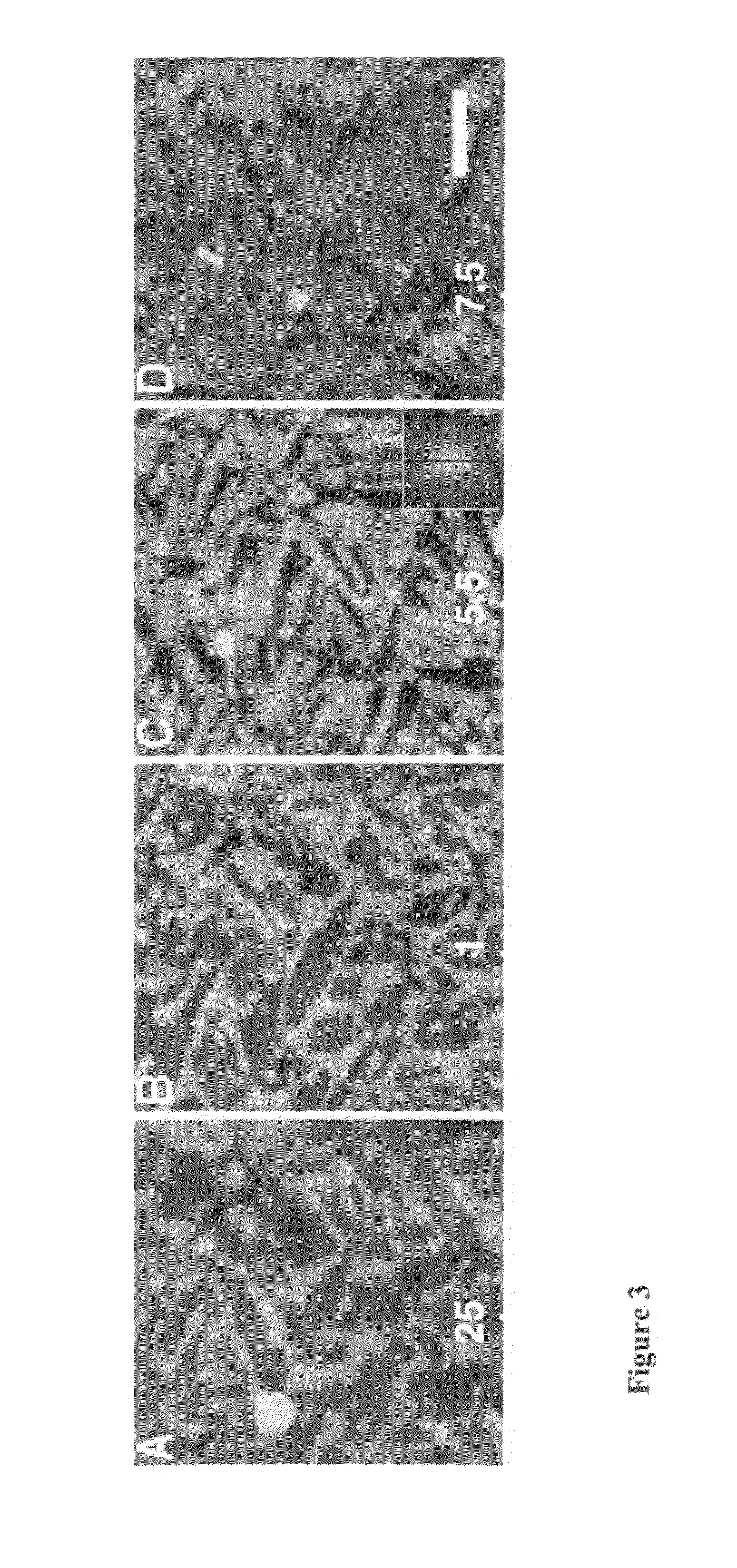 Methods of making and using surfactant polymers