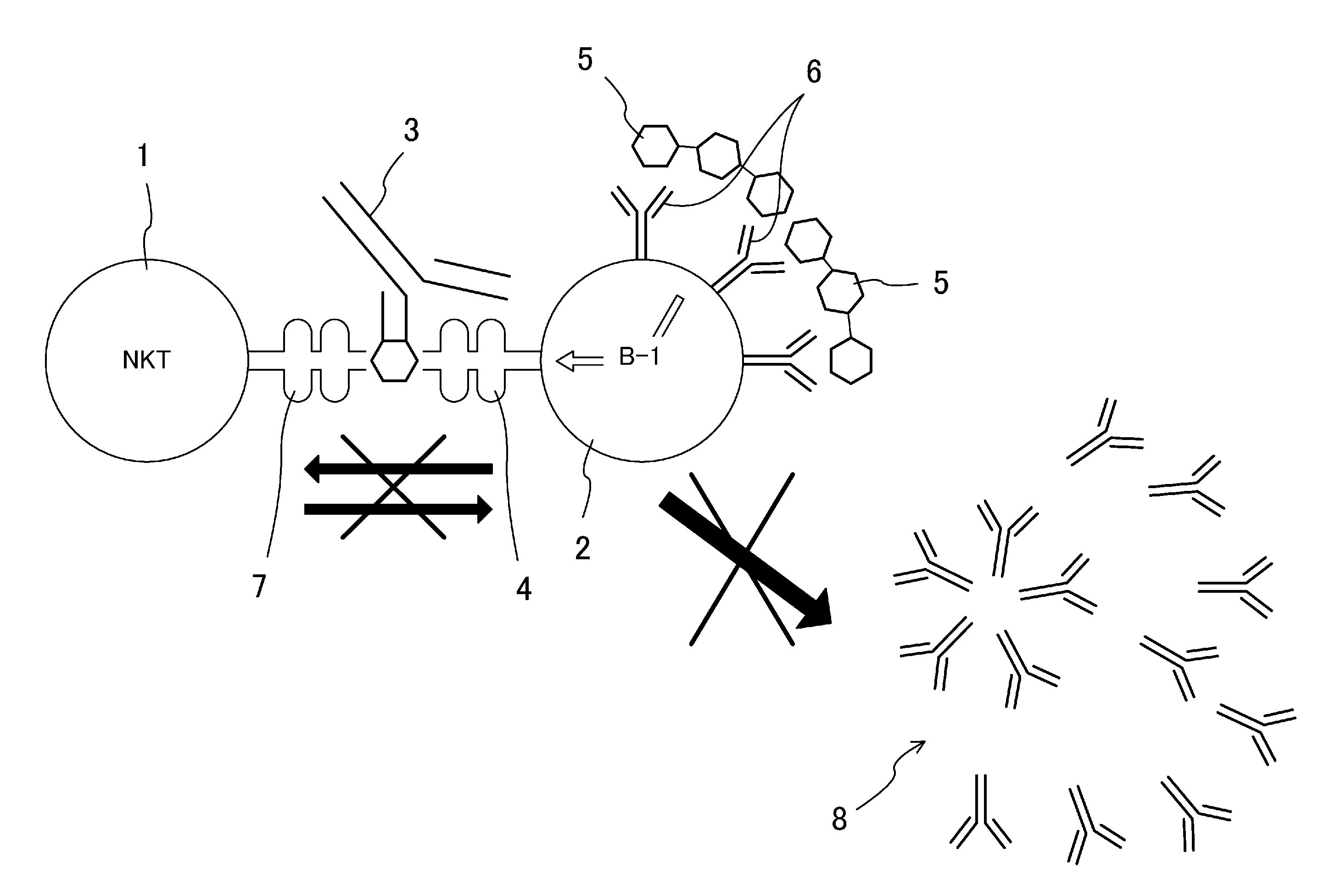 Antibody-mediated rejection inhibitor