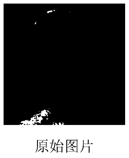 Image scaling processing method based on Newton three-association continuous fraction mixed rational interpolation