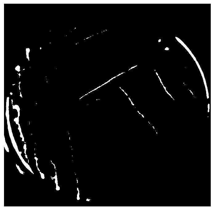 Bacillus subtilis 2012SYX04 for preventing and treating rice blast