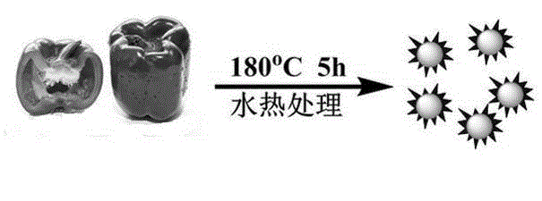 Environmental-friendly synthesis method of fluorescent carbon dot with up-down conversion function