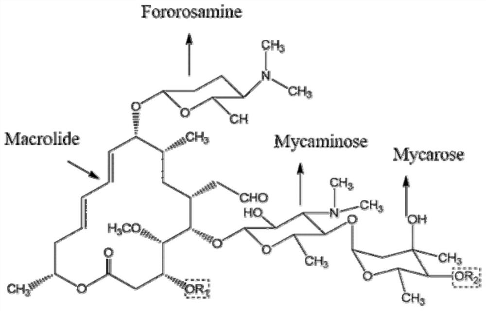 Spherical crystal of spiramycin antibiotics and preparation method thereof