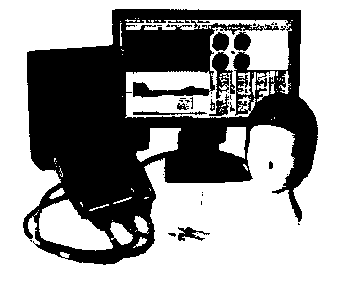 Unmanned aerial vehicle flight path planning system based on electroencephalogram