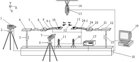 Insect Bounce Behavior and Mechanics Observation Method