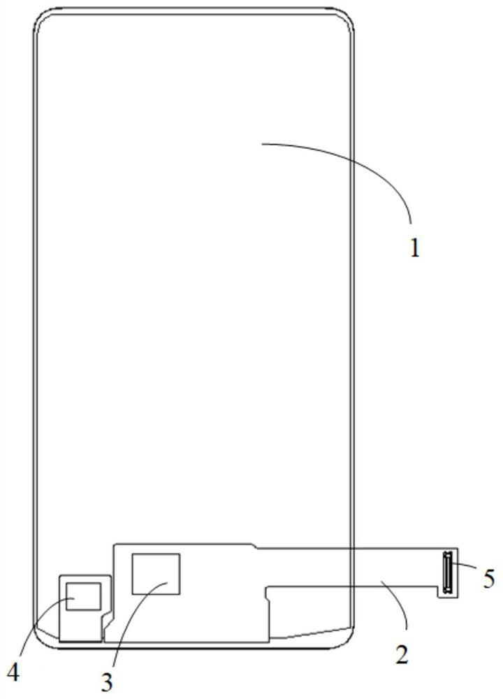 Display module and electronic equipment