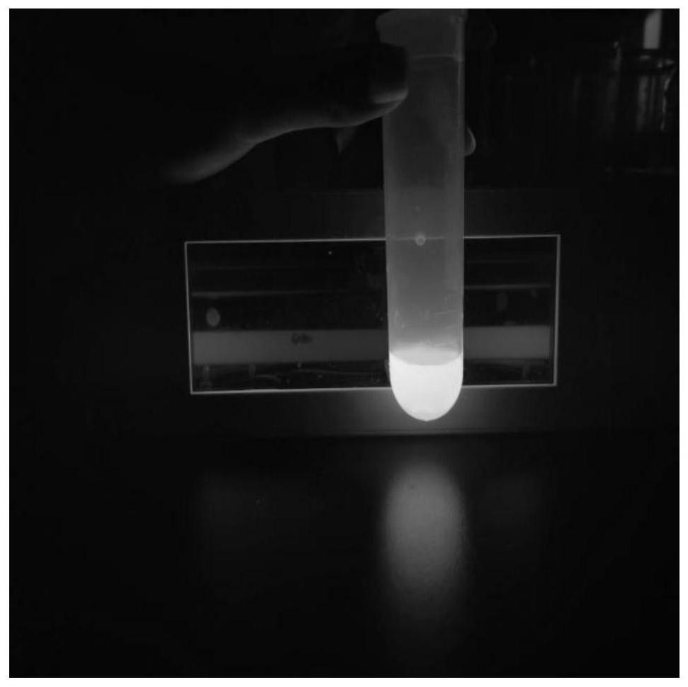 Nitrogen-doped carbon quantum dots and preparation method thereof, and reduced graphene oxide and preparation method and application thereof