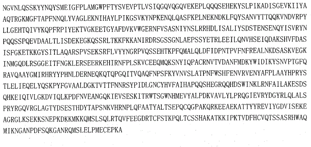 Geocoris pallidipennis vitellogenin new gene and application thereof