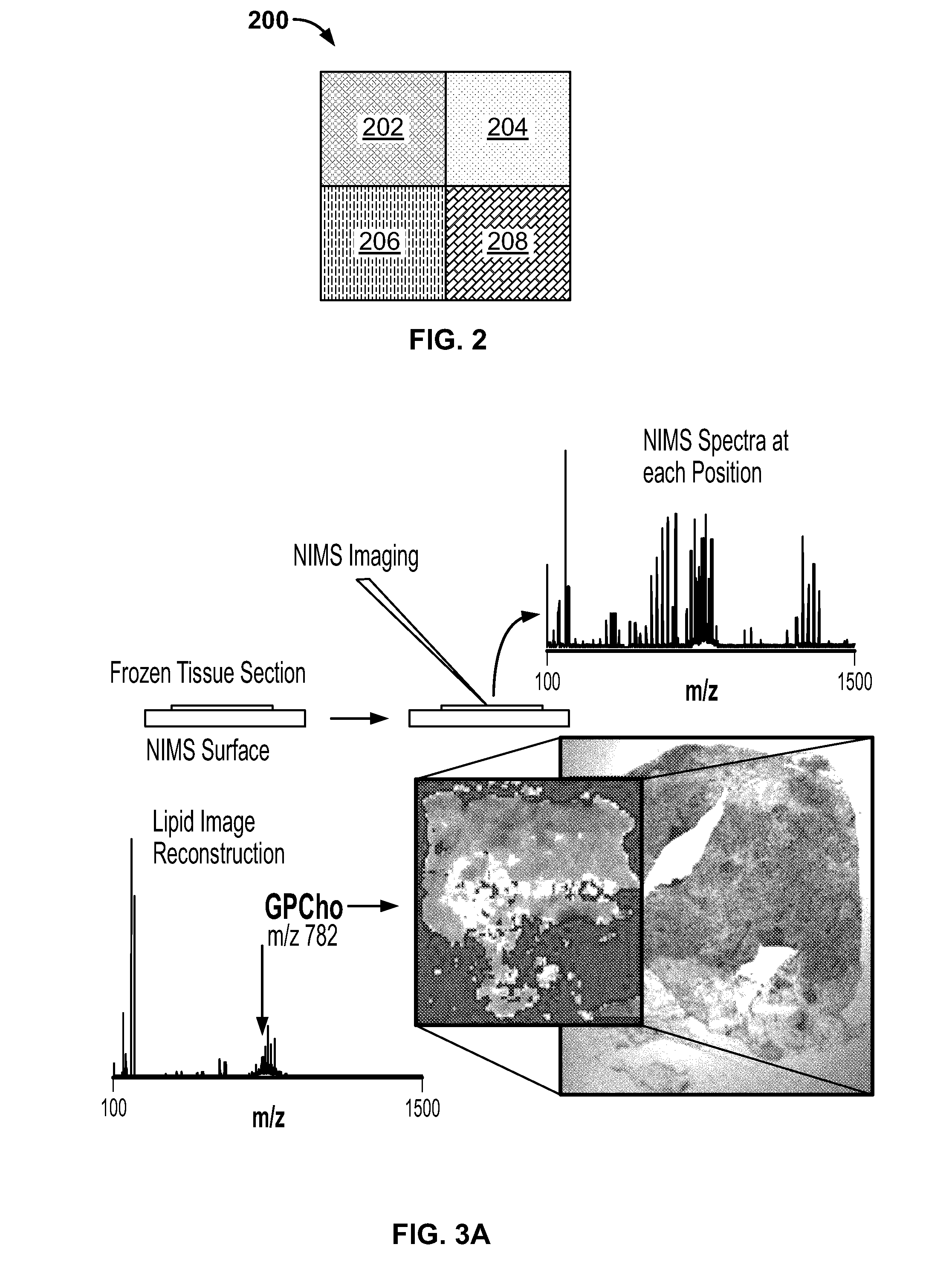 Metabolic flux measurement, imaging and microscopy