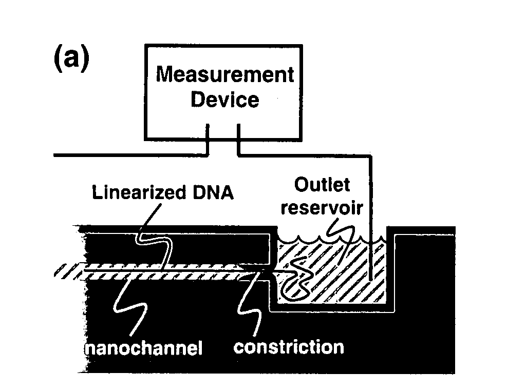 Nanonozzle device arrays: their preparation and use for macromolecular analysis