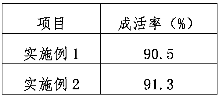 A kind of seedling raising method of yellow peach