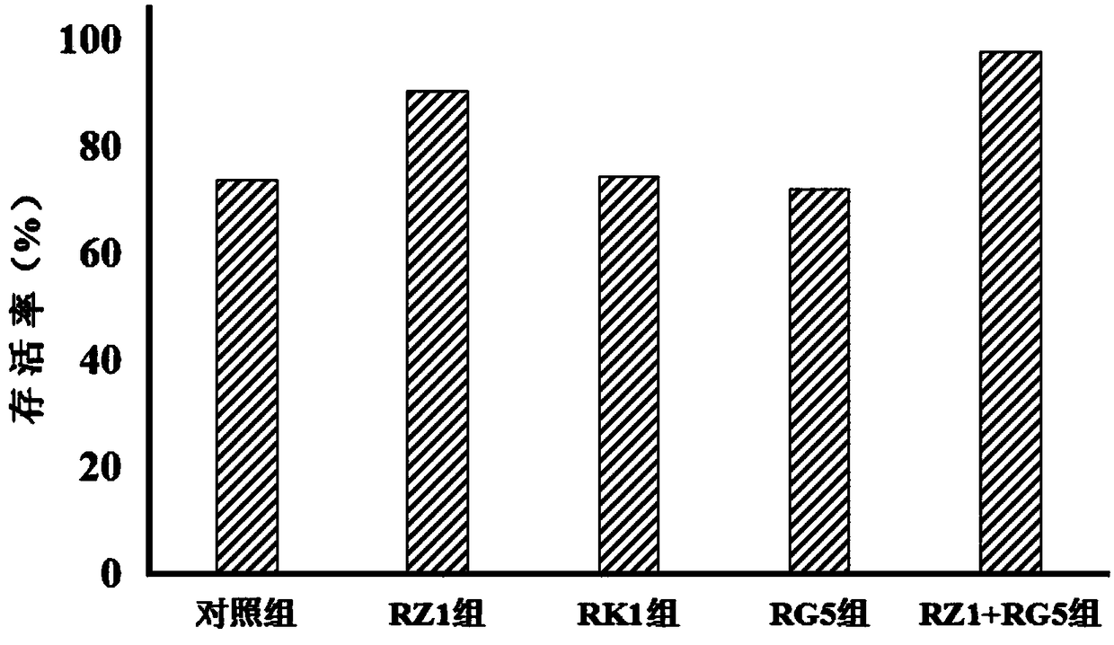 A kind of bone marrow mesenchymal stem cell storage solution