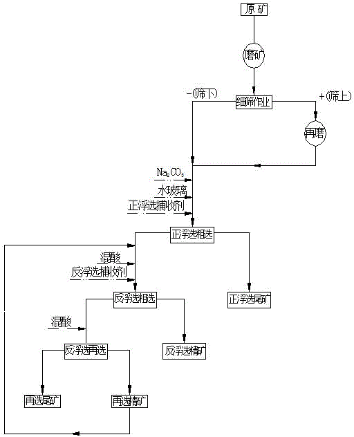 Method for performing fine sieving, regrinding and bulk flotation on low-level silicon calcium collophanite