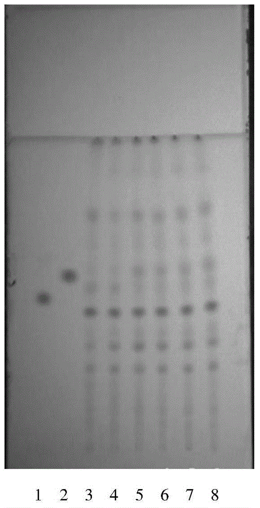 Thin layer identification method of alpine gentian herb and various varieties