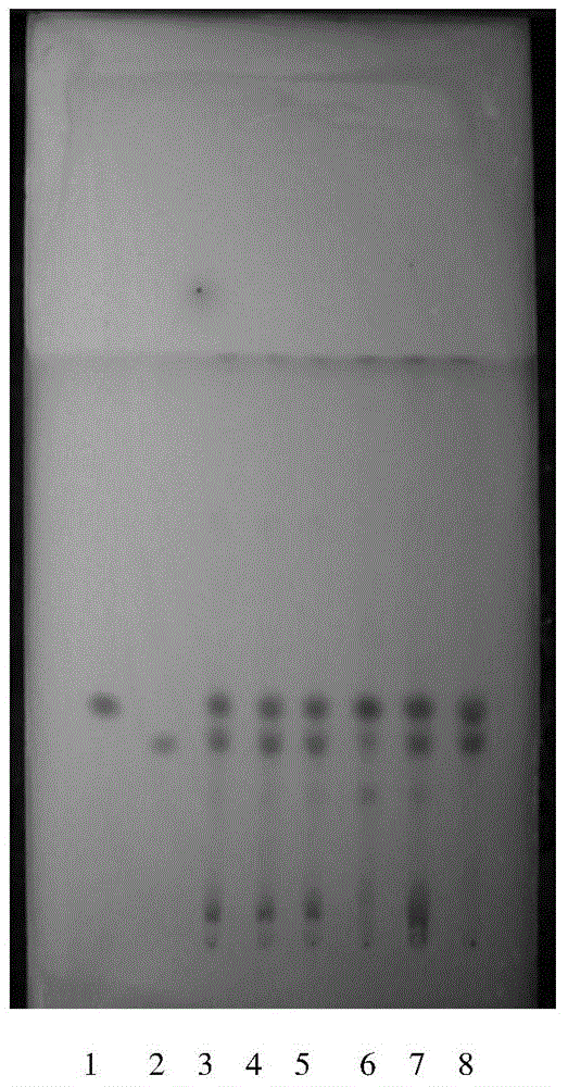 Thin layer identification method of alpine gentian herb and various varieties