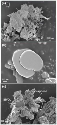 Two-dimensional bismuth vanadate/graphene/carbon nitride composite material as well as preparation method and application thereof