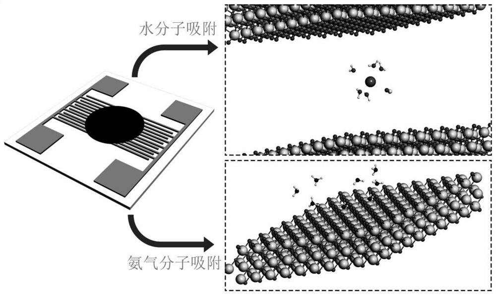 Planar humidity and ammonia sensor based on alkalized organ-shaped mxene sensitive material and preparation method thereof