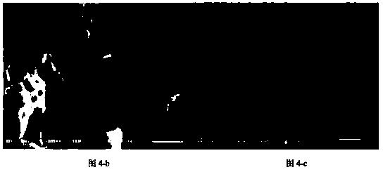 Environment coordination type preparation method of nano titanium dioxide powder